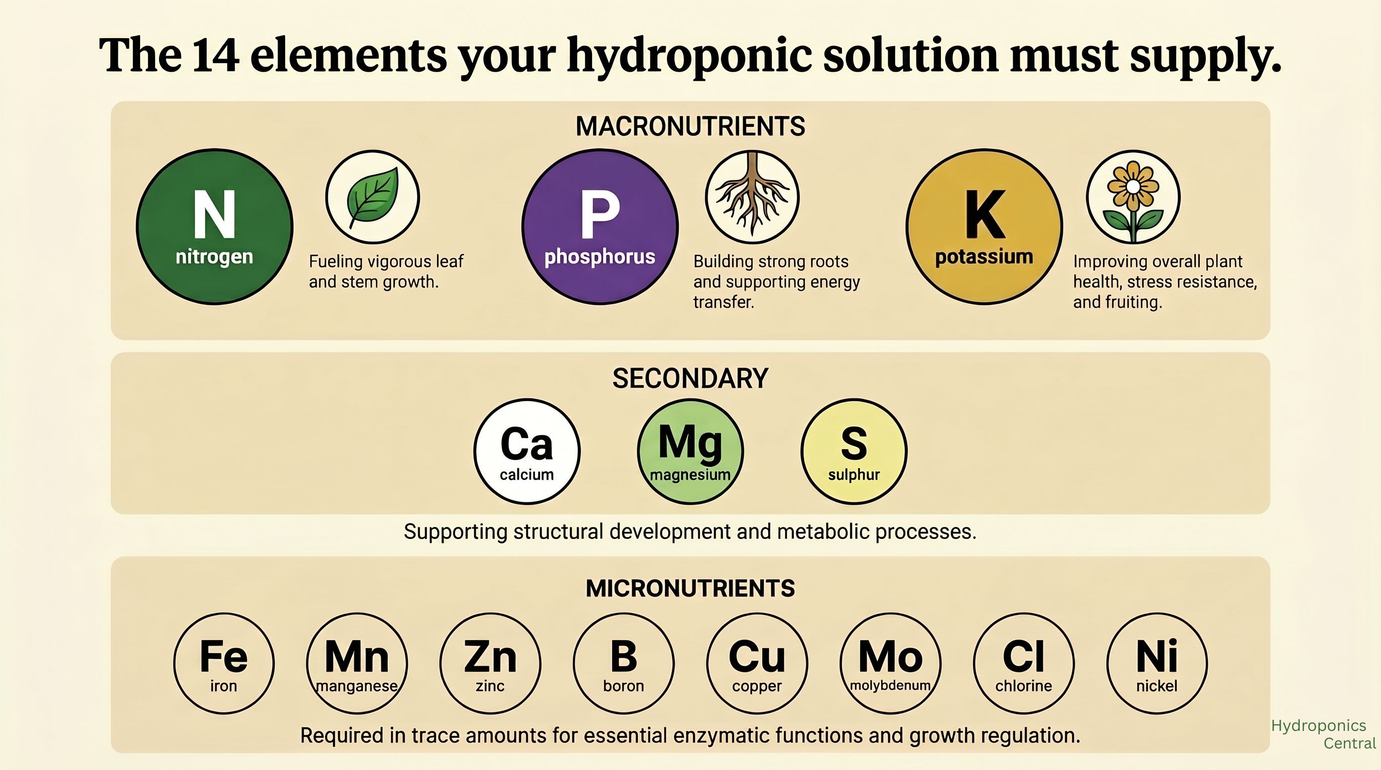 Diagram showing the 17 essential plant nutrients divided into macronutrients, secondary nutrients, and micronutrients with their roles and visual deficiency symptoms labeled